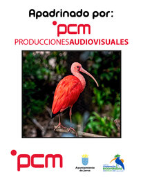 Pcm producciones