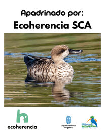 ecoherencia