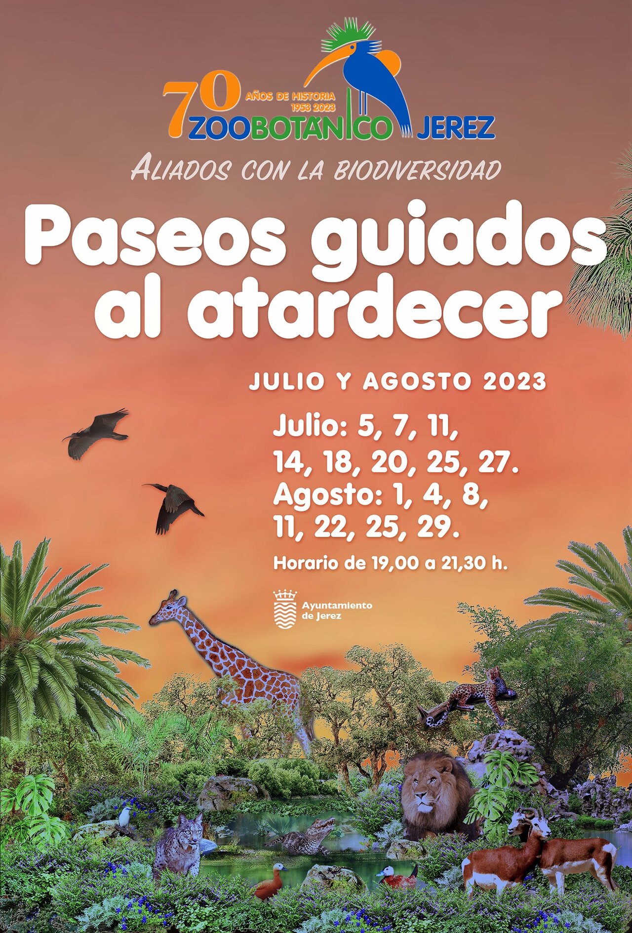 Cartel paseos guiados al atardecer