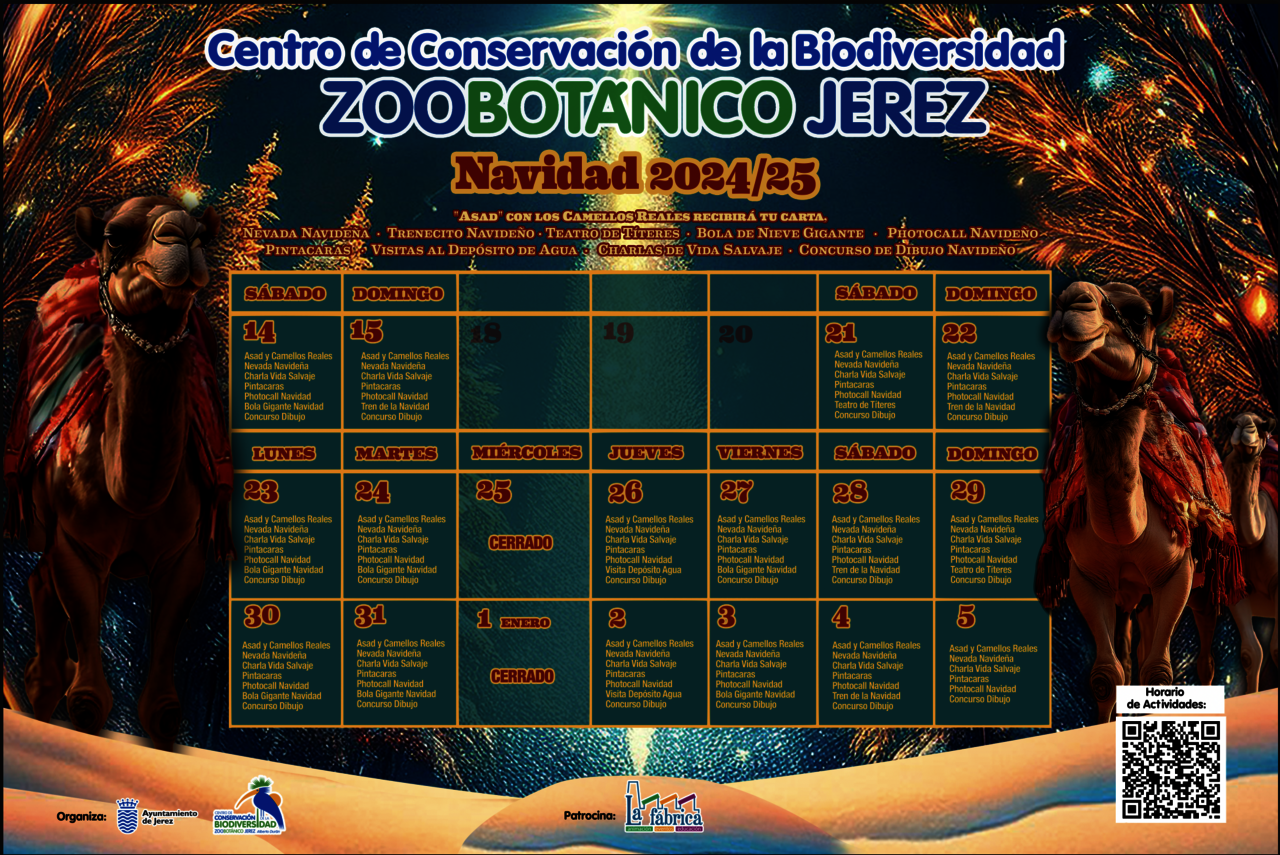 Calendario de actividades