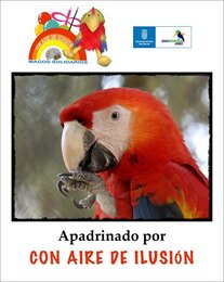 Con aire de ilusión