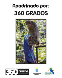 Recorridos 360º