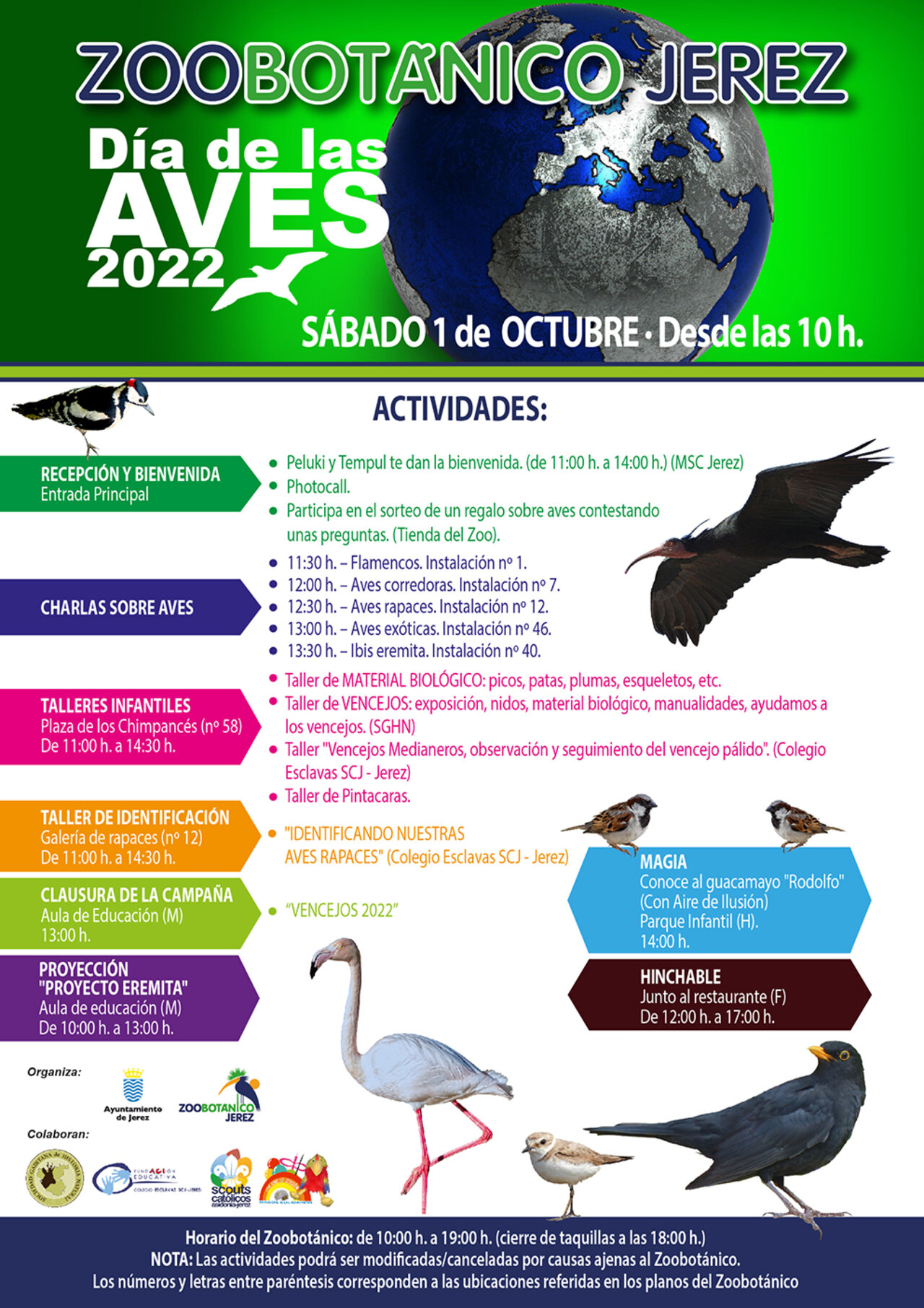 Día de las Aves