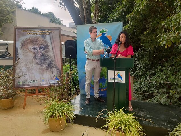Presentación apadrinamiento Almara