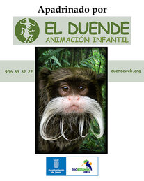 El duende