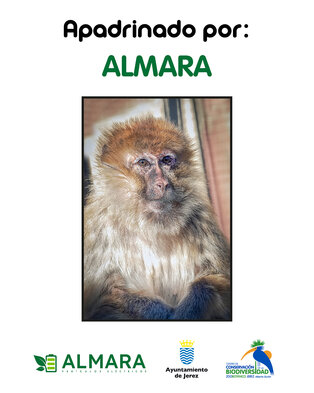 Placa apadrinamiento Almara