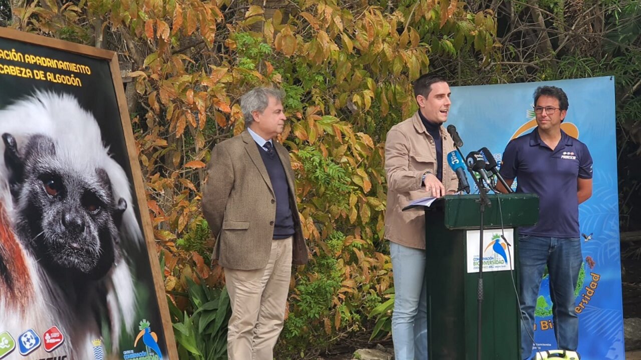 Presentación Prorescue.