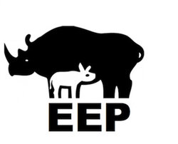 EEP
