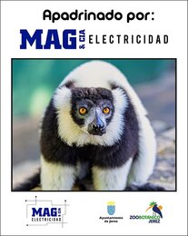 MAG electricidad