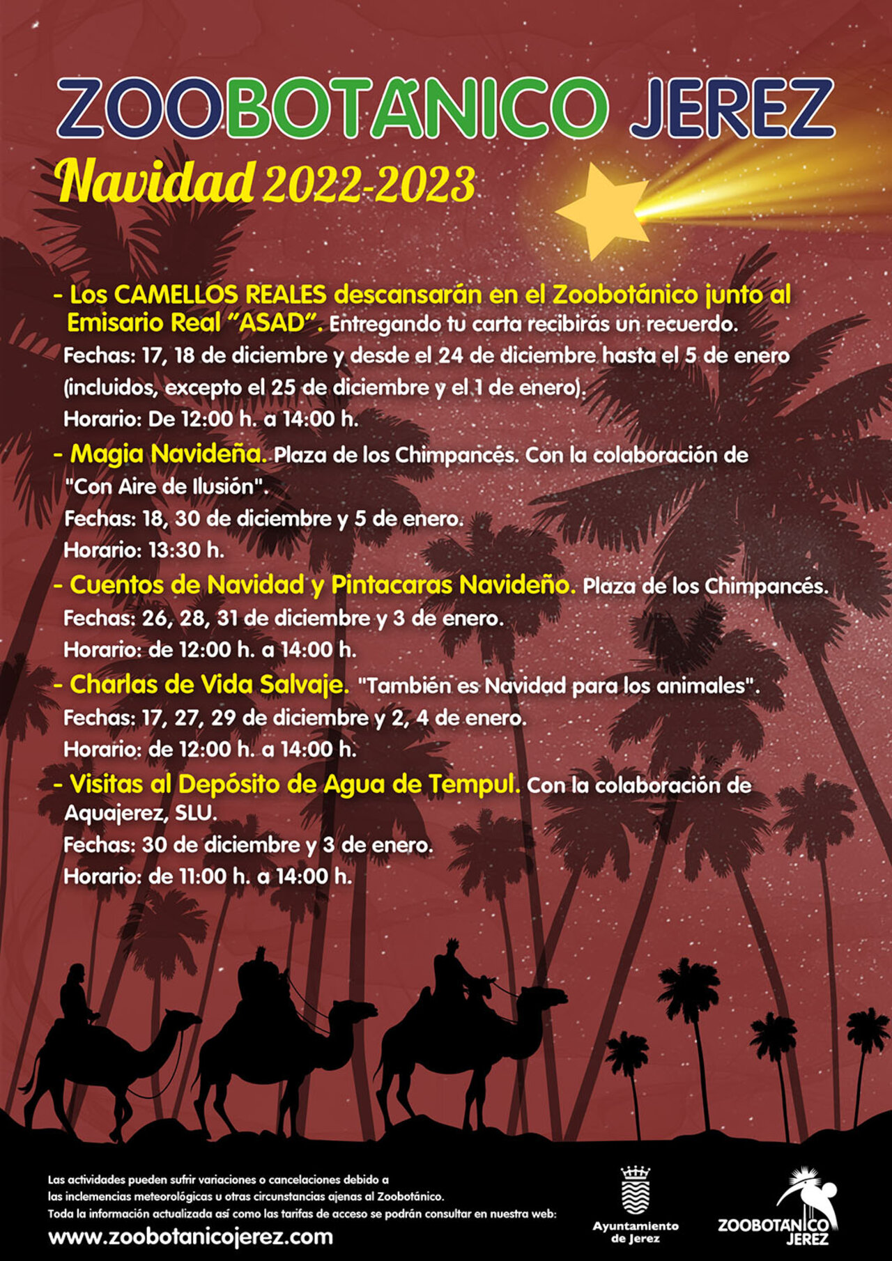 Programa Navidad 2022