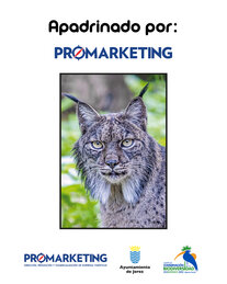 Promarketing