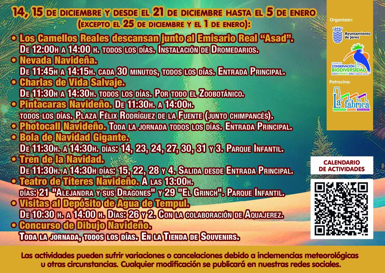 Actividades