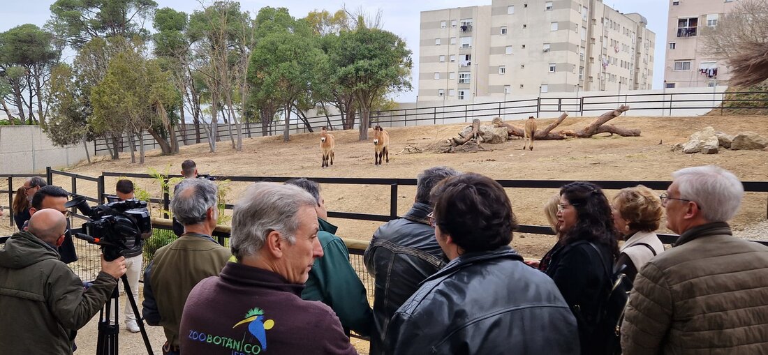 70 Aniversario Zoobotánico