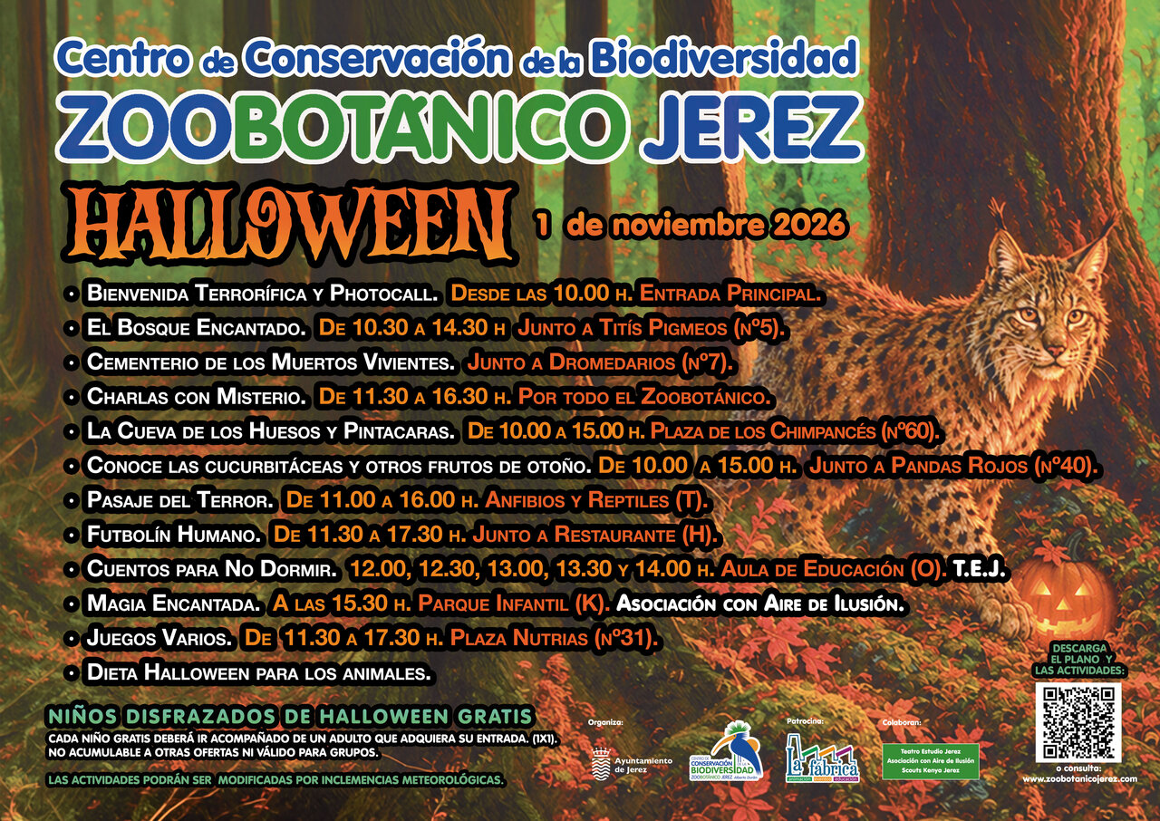 Actividades Halloween