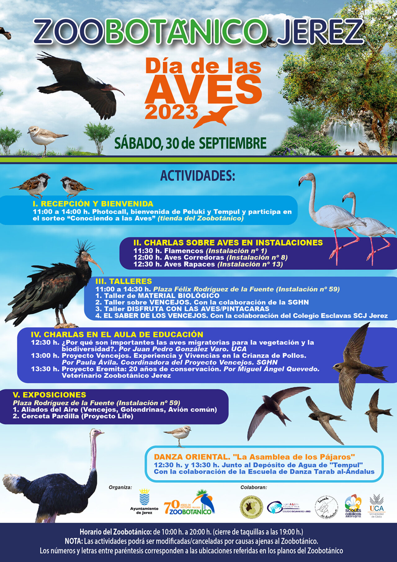 Cartel Día de las Aves