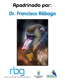 RBG Clinic