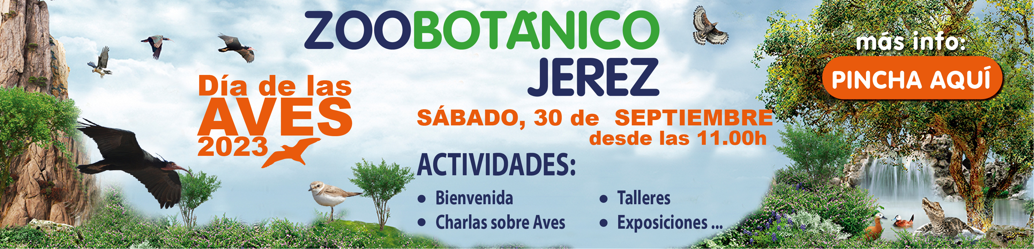 Enlace Día de las Aves