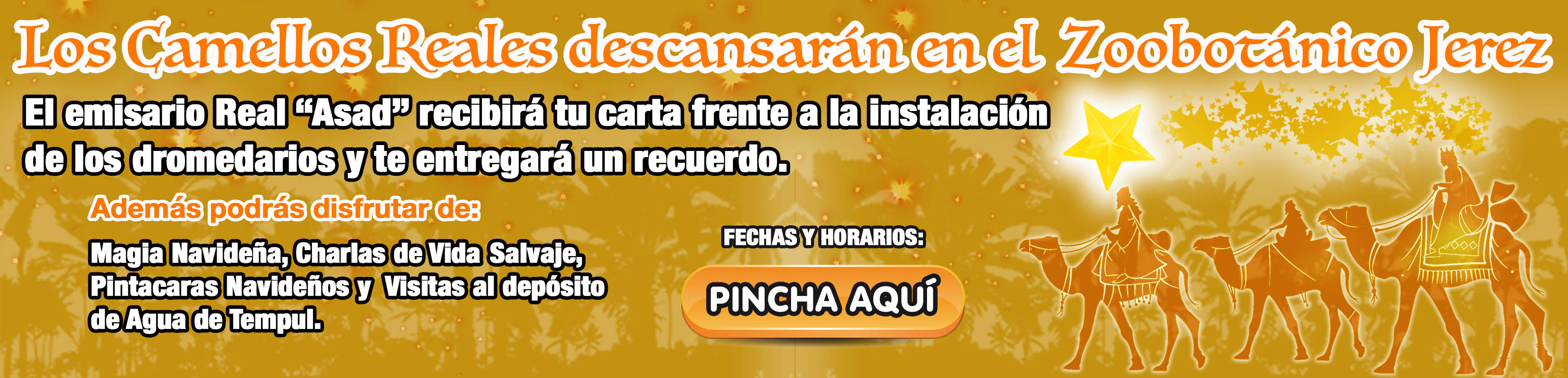 Enlace Programa de Navidad