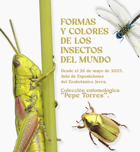 Cartel exposición