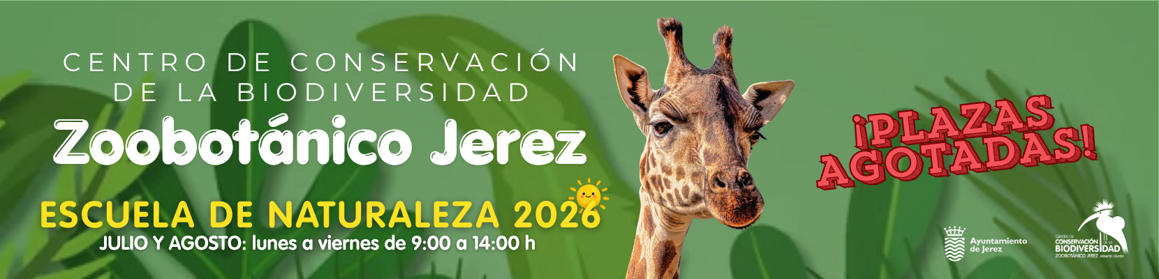 Enlace a Escuela de Naturaleza