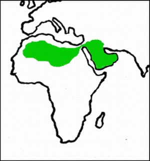 Distribución